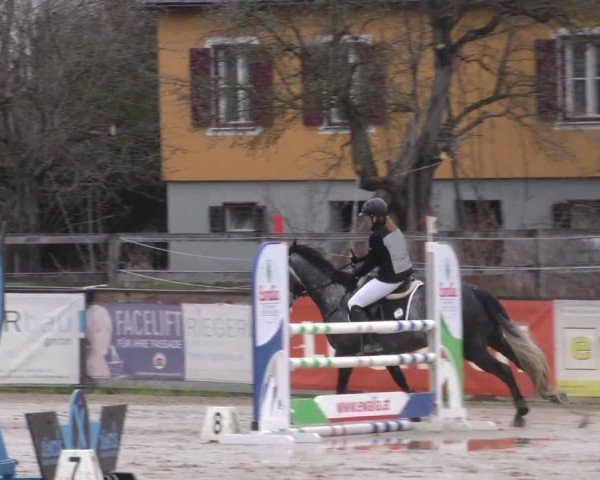 Reitturnier Gniebing-Feldbach 2022