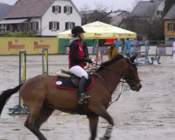 Reitturnier Gniebing-Feldbach 2022