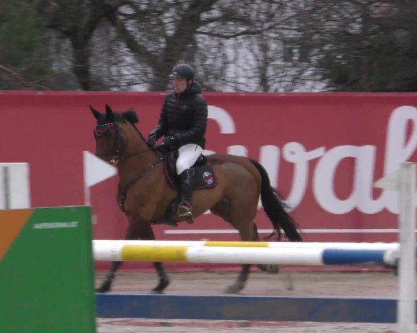Reitturnier Gniebing-Feldbach 2022