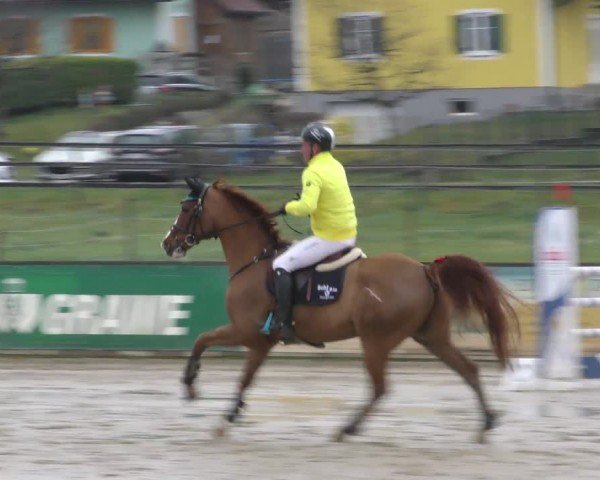 Reitturnier Gniebing-Feldbach 2022