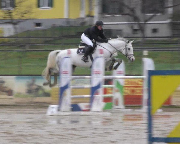 Reitturnier Gniebing-Feldbach 2022