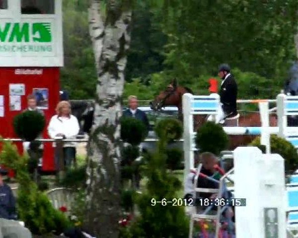 Großes Sommerturnier in Hille 2012
