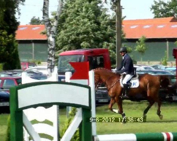 Großes Sommerturnier in Hille 2012