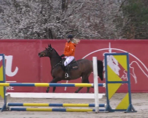 Reitturnier Gniebing-Feldbach 2022