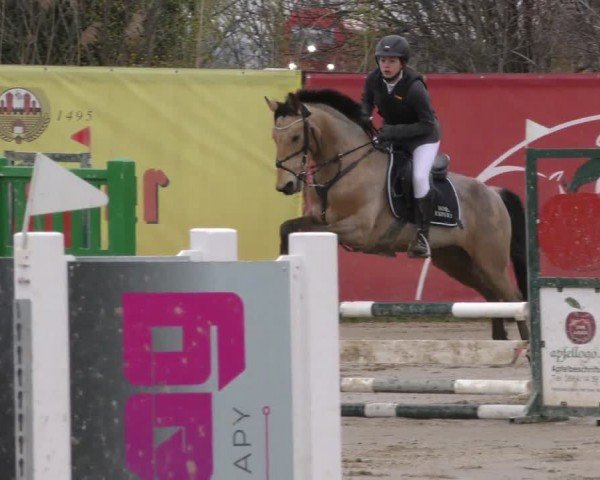 Reitturnier Gniebing-Feldbach 2022