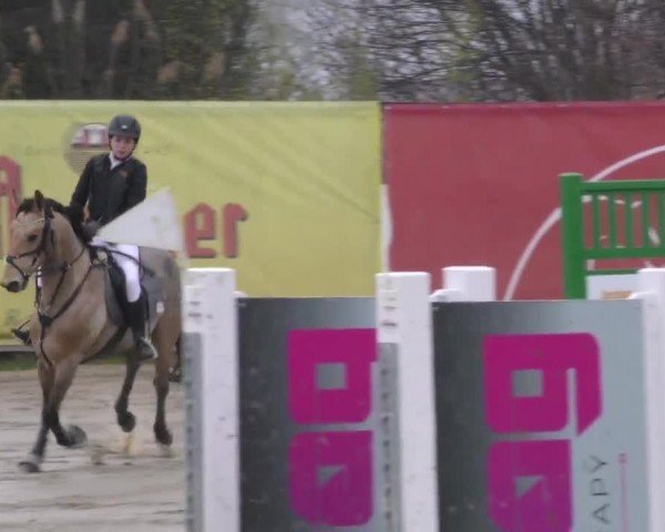 Reitturnier Gniebing-Feldbach 2022