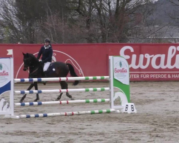 Reitturnier Gniebing-Feldbach 2022