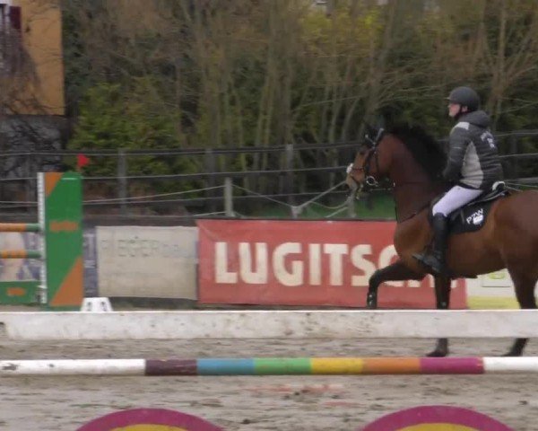 Reitturnier Gniebing-Feldbach 2022