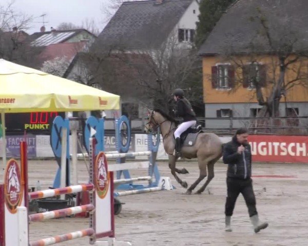 Reitturnier Gniebing-Feldbach 2022