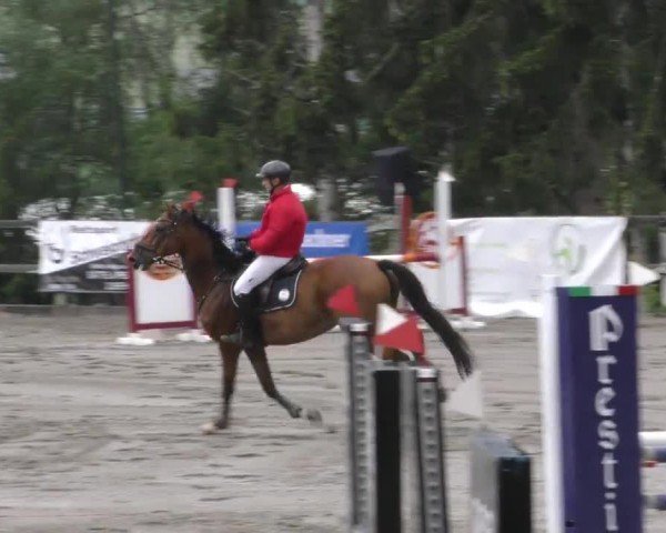Reitturnier Passail 2022