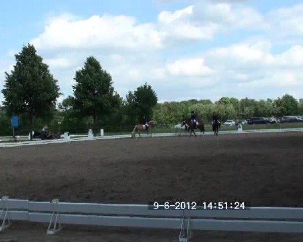Großes Sommerturnier in Hille 2012