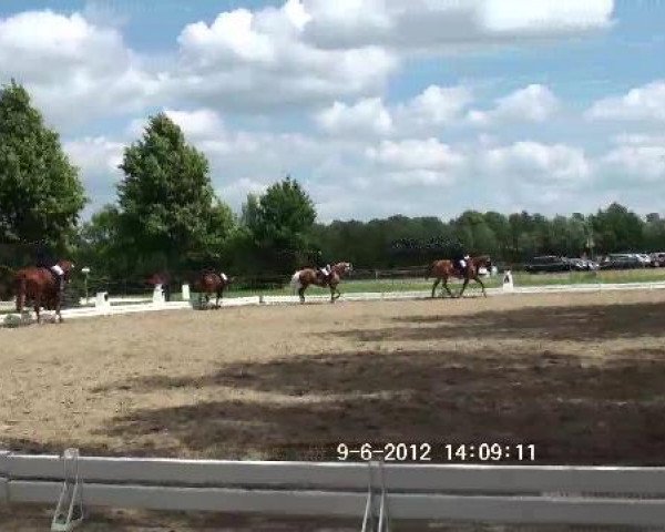 Großes Sommerturnier in Hille 2012
