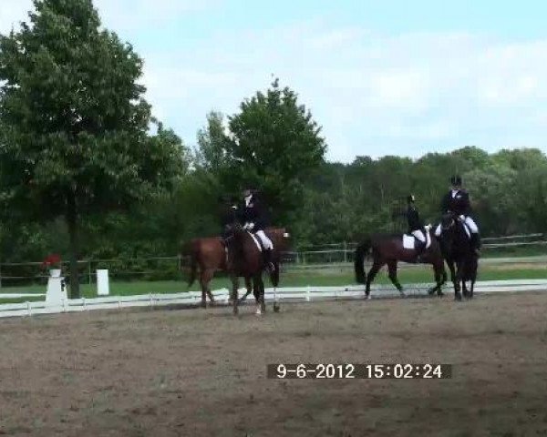 Großes Sommerturnier in Hille 2012