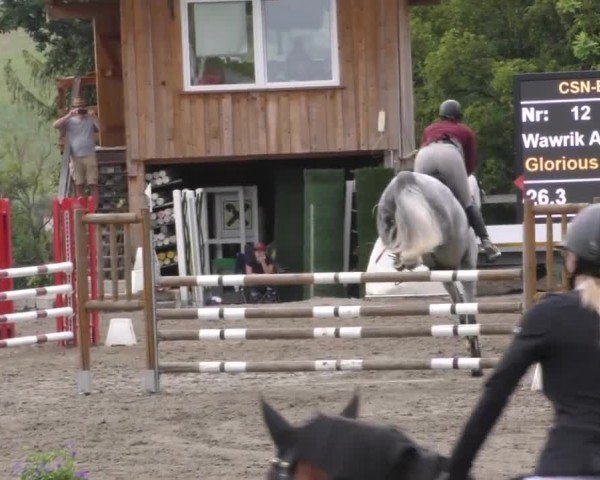 Reitturnier Passail 2022