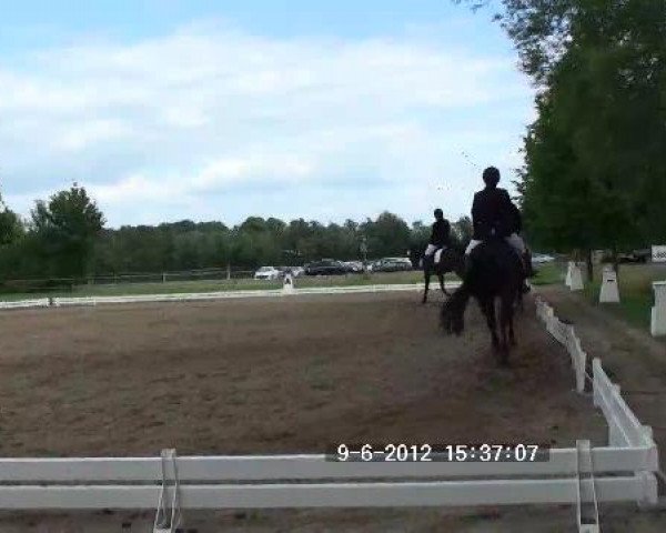 Reitturnier Hille 2012