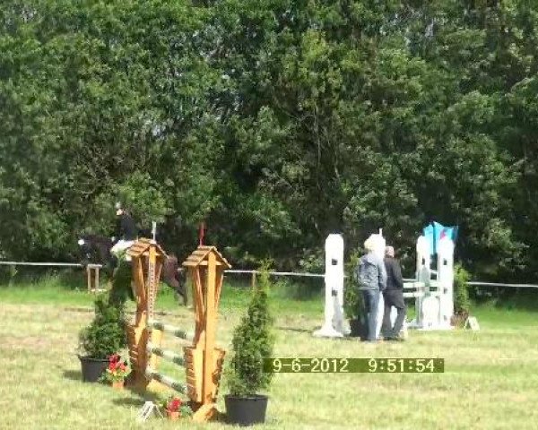 Großes Sommerturnier in Hille 2012