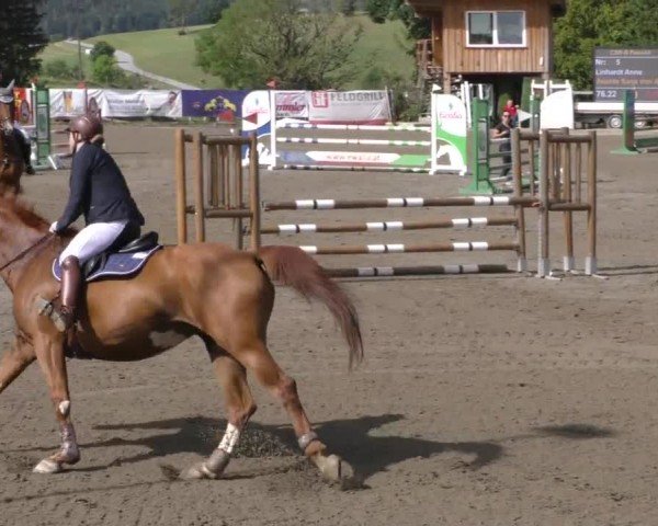 Reitturnier Passail 2022