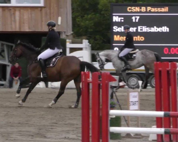 Reitturnier Passail 2022
