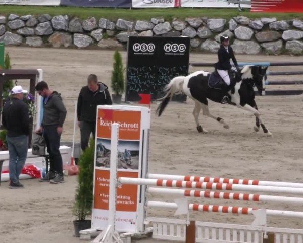 Reitturnier Preding 2023