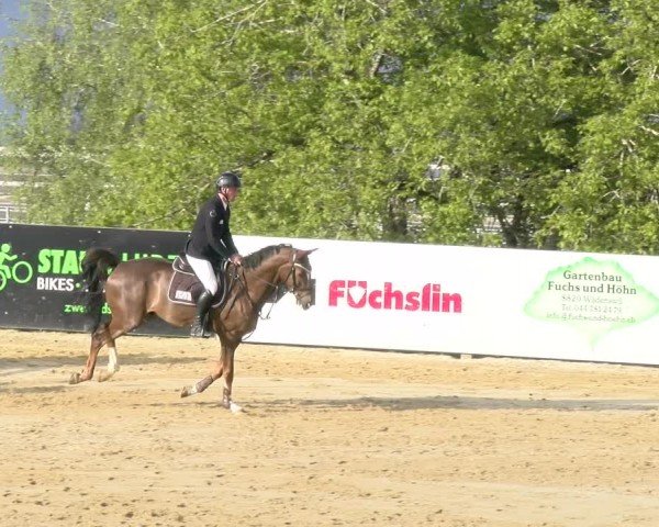 Reitturnier Wädenswil 2024