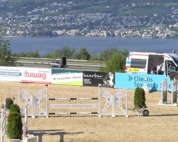 Reitturnier Wädenswil 2024
