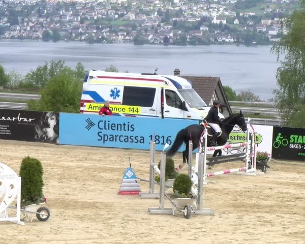 Reitturnier Wädenswil 2024