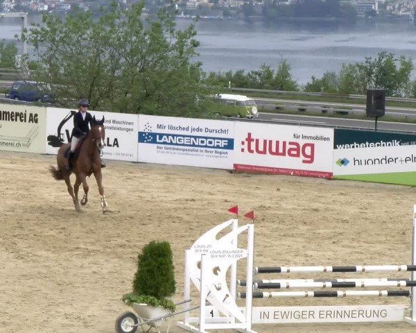 Reitturnier Wädenswil 2024