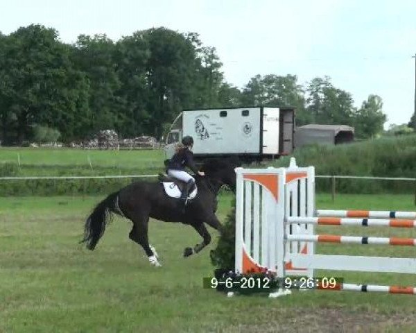 Großes Sommerturnier in Hille 2012