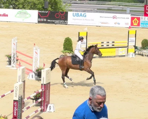 Reitturnier Wädenswil 2024