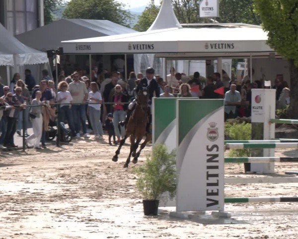 Reitturnier Hellefeld 2024