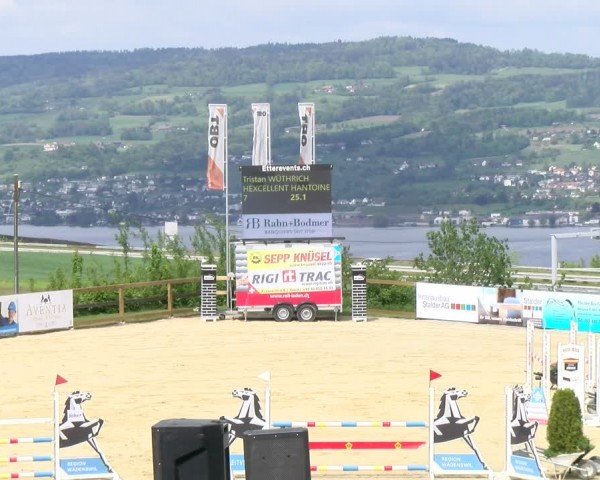 Reitturnier Wädenswil 2024