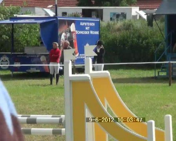 Großes Sommerturnier in Hille 2012