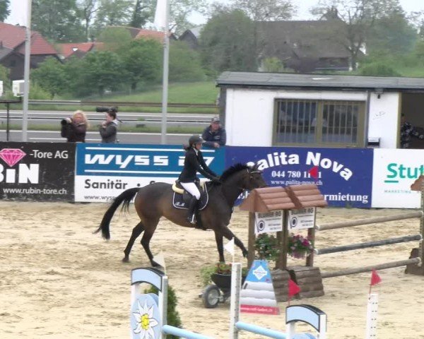 Reitturnier Wädenswil 2024