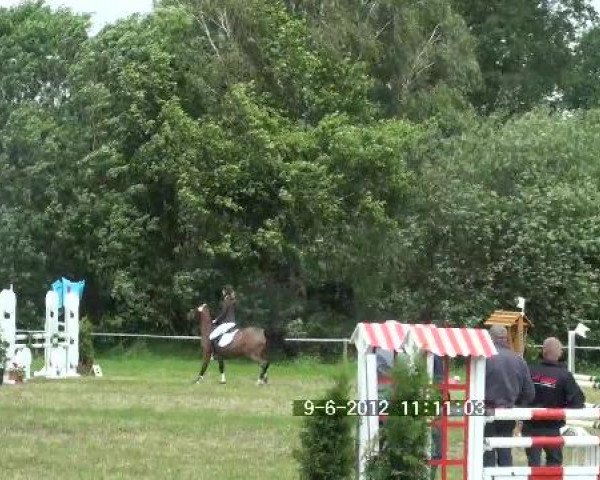 Großes Sommerturnier in Hille 2012