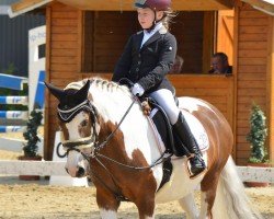 dressage horse Jule 364 (Pony without race description, 2005)