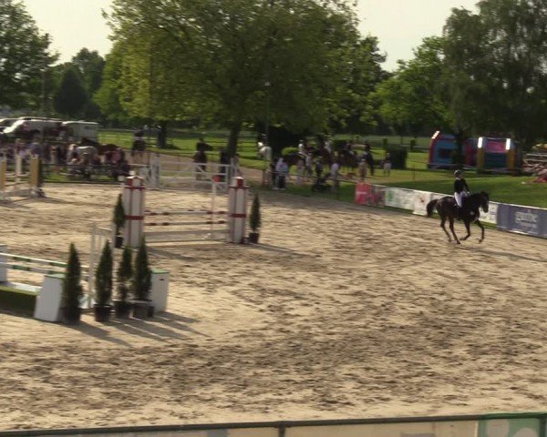 Reitturnier Hamm-Rhynern 2024