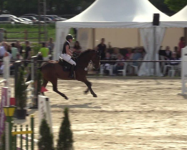 Reitturnier Hamm-Rhynern 2024