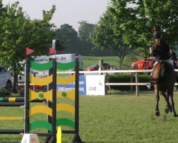 Reitturnier Wilkenburg 2024