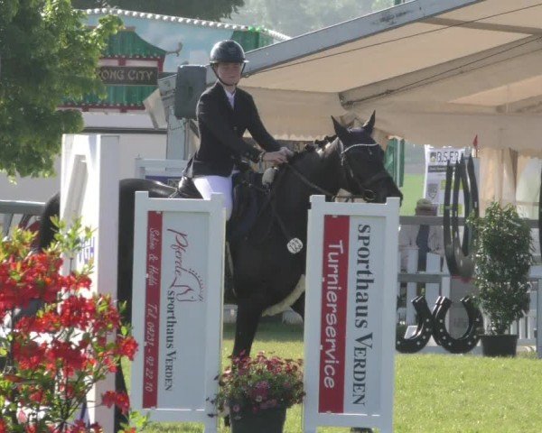 Reitturnier Wilkenburg 2024