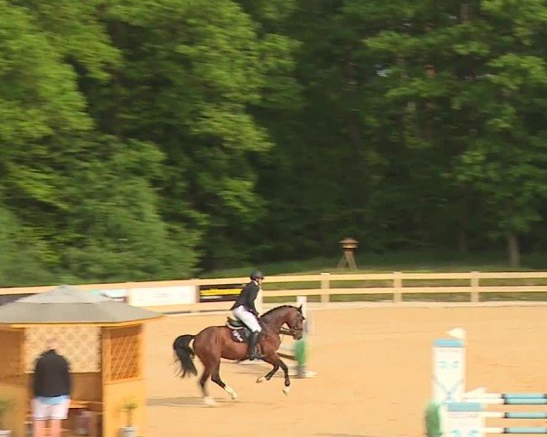 Reitturnier Tiefenhof/Opf. 2024