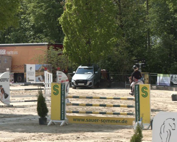 Reitturnier Hellefeld 2024