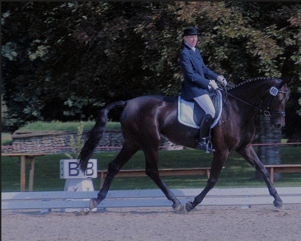 Springpferd Guanera Rr CH (Schweizer Warmblut, 2002, von De Niro)