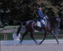 jumper Guanera Rr CH (Swiss Warmblood, 2002, from De Niro)