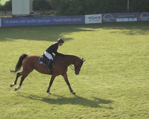 Reitturnier Scharnebeck 2024