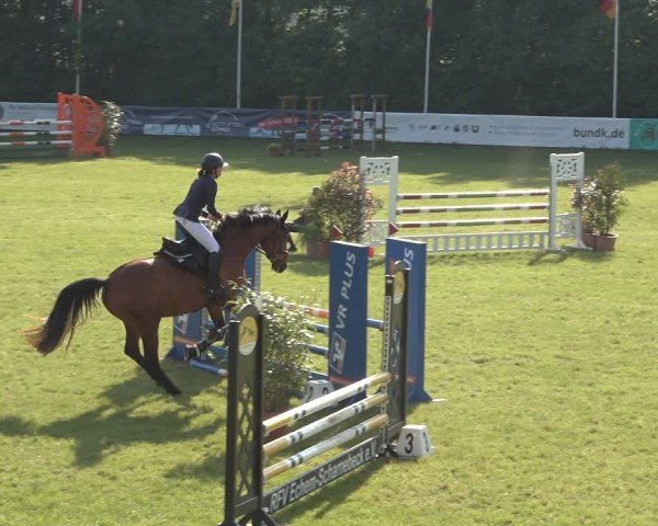 Reitturnier Scharnebeck 2024