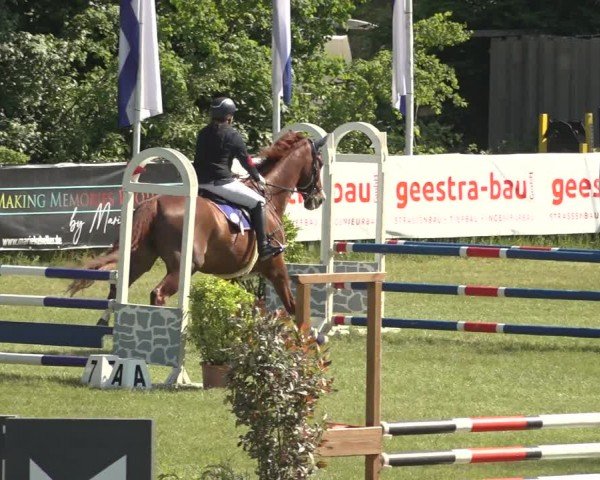 Reitturnier Scharnebeck 2024