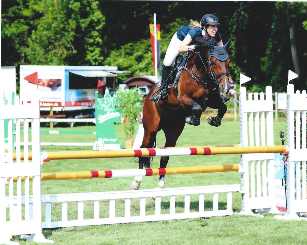 Springhest Pokerface (Schweizisk Varmblod, 2009, fra Unbekannt SUI)