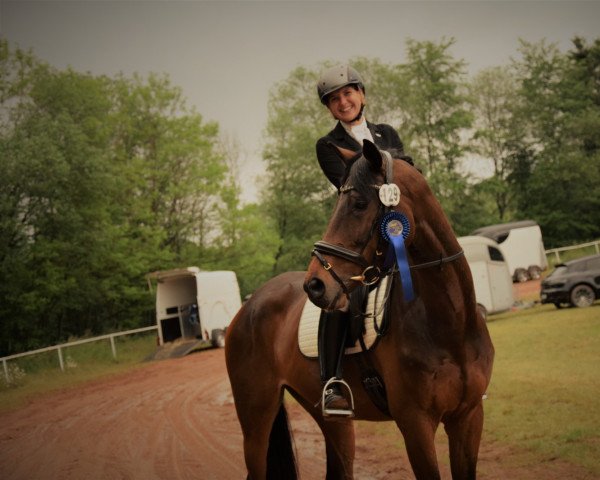 jumper Catch The Stars (German Sport Horse, 2014, from Claudino)