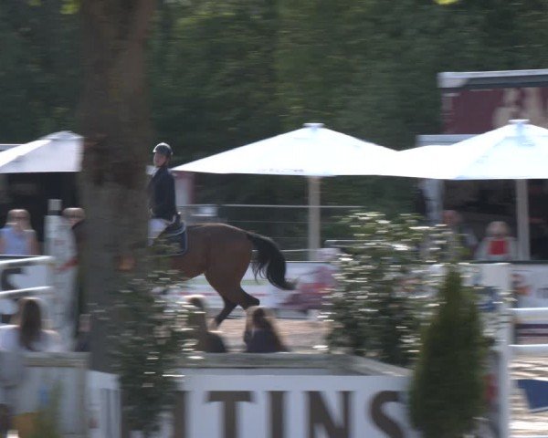 Reitturnier Hellefeld 2024
