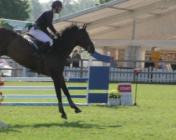 Reitturnier Wilkenburg 2024